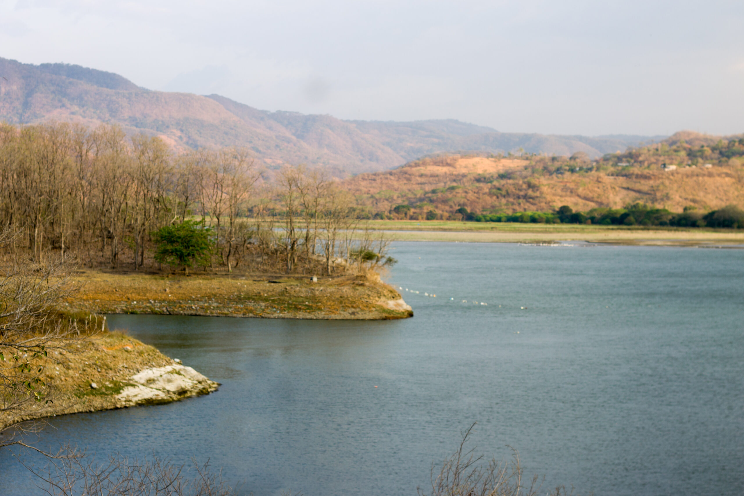 _MG_9264 _MG_9264